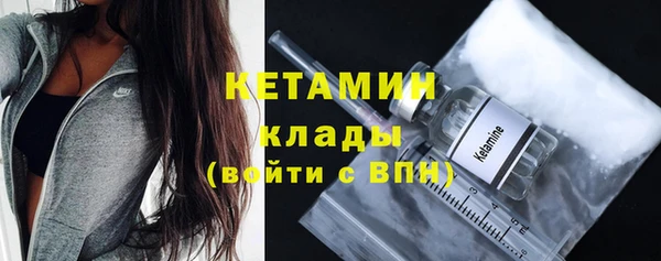 прущие грибы Каменка