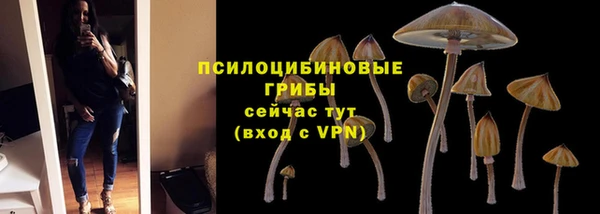 прущие грибы Каменка