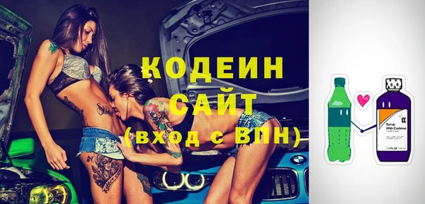 прущие грибы Каменка