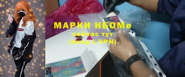 прущие грибы Каменка